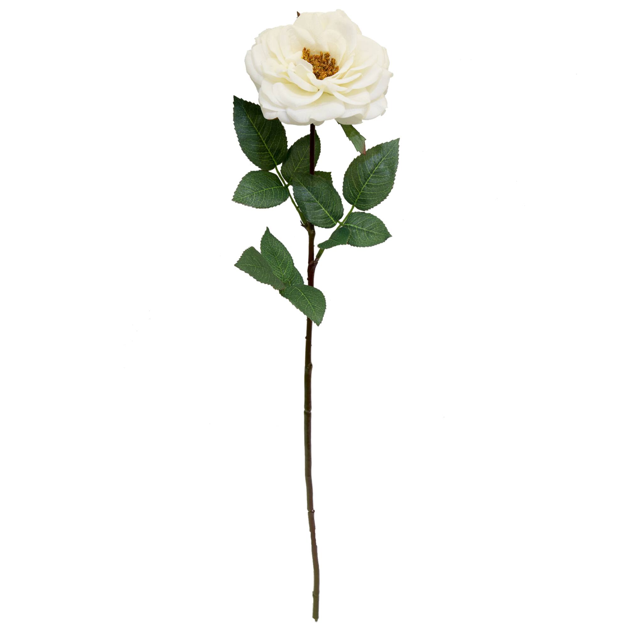 Orlane Rose Stem by Ashland®
